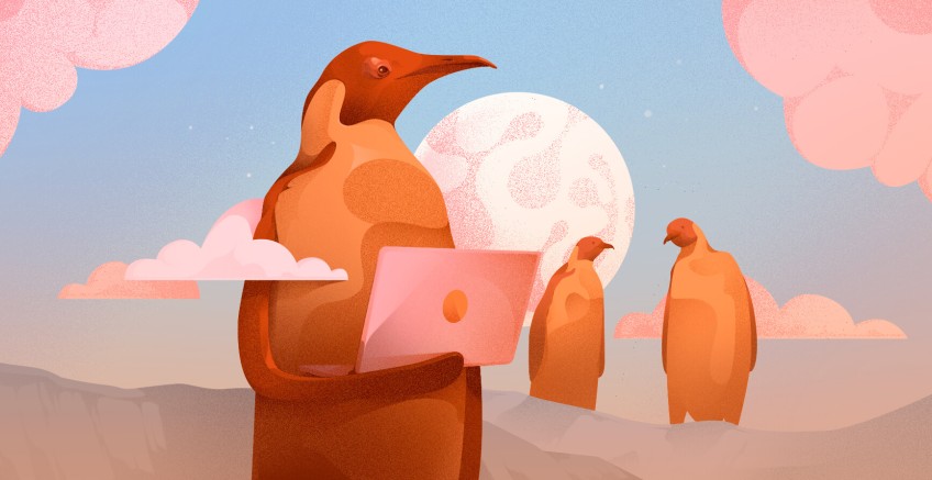 How to install phpMyAdmin on Ubuntu 24.04: Step-by-Step